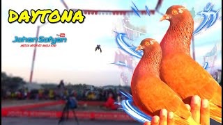 BEST PERFORM DAYTONA | Kumpulan Shoot UG4L UG4L4N Daytona Di Even MOBILAN Lapak Joglo Kumpul Kumpul