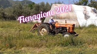 Fienagione 2k21 - falciatura fieno | Fiat 600 - Gaspardo