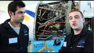 Aircraft Maintenance degree: student profiles