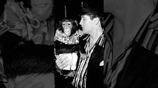 The Life and Death of Scatter, Elvis Presley's Chimpanzee