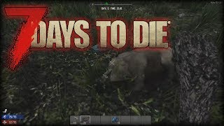 7 Days To Die | Day 5