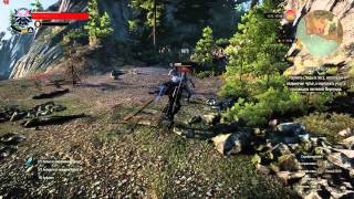 The Witcher 3 R9 290 ultra 60FPS