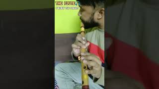 Khamoshiyan||Flute lesson