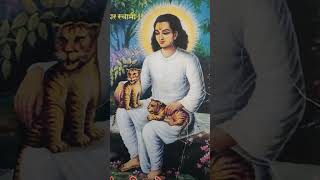 आरती ब्रम्हरूपा चक्रधर स्वरूपा🙏🌹|सर्वज्ञ श्री चक्रधर स्वामी आरती|