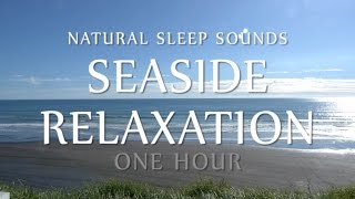 Sleep Sounds Seaside Relaxation 1 Hour - White Noise Ocean Waves (Meditation, Sleeping, Study, Yoga)