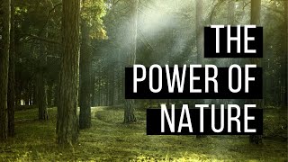 Why Nature is Powerful and Healing to the Soul