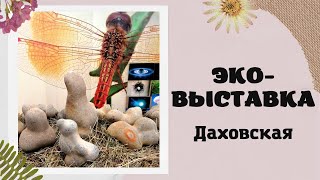 Адыгея. Станица ДАХОВСКАЯ. ЭКО-выставка