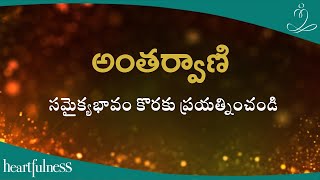 అంతర్వాణి | సమైక్యభావం కొరకు ప్రయత్నించండి | Heartfulness Telugu | 16-11-2024