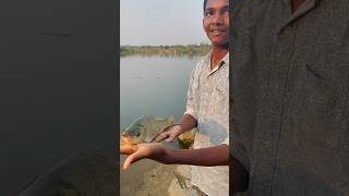 Release a small rohu fish | #shorts #fishing #release