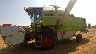 zniwa 2021 claas dominator mf 186 ursus c360 ursus c330 bizon