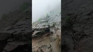 Welcome to Maharashtra brahmagiri Mountain Nashik 🏔️#sort #nature #travel #trekking #nature #monsoon