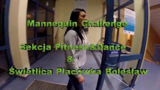 Mannequin Challenge   Sekcja Fitness&Dance i Świetlica Placówka Bolesław