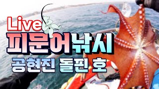 문어 낚시(동해 문어 낚시)