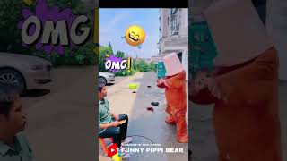 Funny Video l Funny Bear 🐻😂 P1608 #Shorts