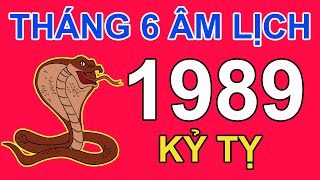 Tử Vi Tuổi Kỷ Tỵ 1989 Trong tháng 6 năm 2024 âm lịch Giáp Thìn | Triệu Phú Tử Vi