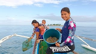 PANGHUHULI NG ALIMASAG GAMIT ANG PANGGAL DI NAMIN INAASAHANG MAKARAMI