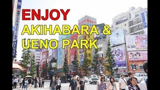 AKIHABARA and UENO PARK, TOKYO, JAPAN.