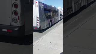 CDTA NEW FLYER #3308 ON ROUTE 910 HEADING TO DOWNTOWN ALBANY