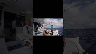 Marlin Season in Rodrigues Island! (Early December) #shorts #short  #biggamefishing #fishing