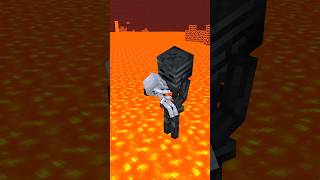 HELP Save baby skeleton Wither X Skelly Pillagers attack (Past Lives) - Minecraft Shorts