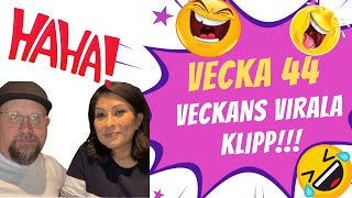 Veckans virala humorklipp - Vecka 44