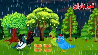 Tez Baran | Pashto Moral Story | Birds Cartoon