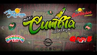 MIX CUMBIA VARIADA CORTA VENAS Vol.2🍻🔥( AGUA MARINA, ARMONIA 10, CARIBEÑOS, CHICHA)⚡DJ DIXMAN