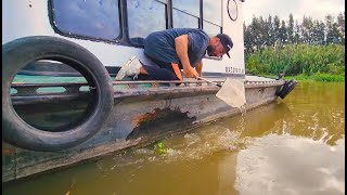 Recorriendo ríos y montes en busca de peces y plantas, PESCA URBANA, ACUARIO URBANO