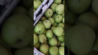 kashmiri Apple #reels #today