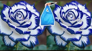 DIY Tutorial cara membuat Bunga Mawar dari Plastik Kresek | How to make Rose Flower from Plastic Bag