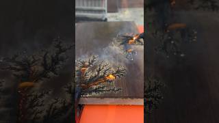 Fractal burning some black walnut 🔥 #art #wood #diy #fractal #handmade #resin #woodworking #hand