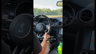 SHELBY GT500 TOP SPEED RUN😳 #shorts #cars #acceleration #shelby