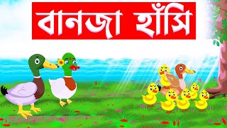 বানজা হাঁসি 🦊 শিয়ালের গল্প | Fox Cartoon | Bangla Cartoon | Rupkothar Golpo  | Fairy Tales | cartoon