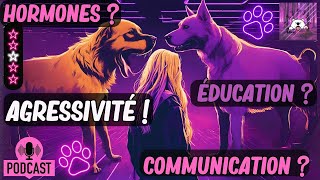 AGRESSIVITÉ du CHIEN Vs Communication & Influences Hormonales, Personnelles et Éducatives !