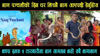 आज नाग पंचमीको दिन नै नाग घरभित्र आएर बसेपछीभयो भागा भाग | Rat Snake Rescue Damak 4 Rescue By Ramesh