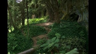 Waipu Caves - Kiwi Explorers