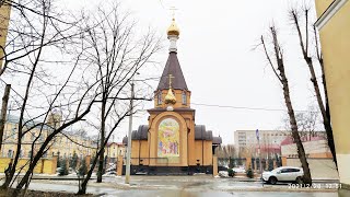 Сосновая поляна  Санкт-Петербург ул Лётчика Пилютова