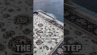 Yes, your rug is hiding dust #rugcleaning #rugcare #dusting