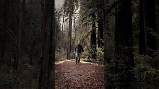 Hiking 🥾 at the forest 🌳 #california #adventure #photography