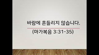 3월 둘째주 - 바람에 흔들리지 않습니다