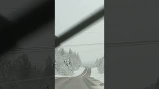 #trending #viral #viralvideo #amazing #shortvideo #shortsfeed #shorts #winter2023 #iceroad