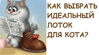 Выбираем идеальный лоток/горшок для кота