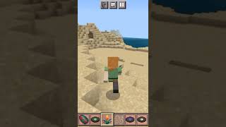 Find village in Minecraft #village #minecraft