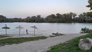 Labudovi i patka na plaži u Titelu & Čamac na reci Tisi & Pecaroši na obali Tise / Titel, 16.10.24.