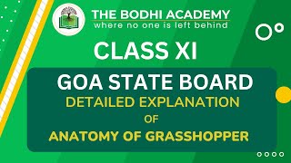 GOA BOARD|| CLASS 11 || BIOLOGY || ANATOMY OF GRASSHOPPER