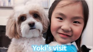 Yoki's visit