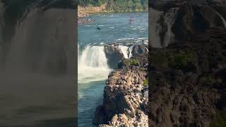 Over the falls #madhyapradesh #travel #dhuandharfalls