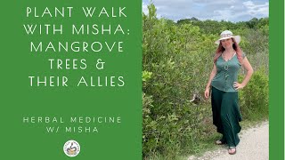 Plant Walk: Mangroves with Misha