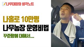 나무대장의 생각노트, 꾸준함에 대해서 나홀로 10만평 나무농장 운영비법 | 나무대장🌳 나무농사의 모든것