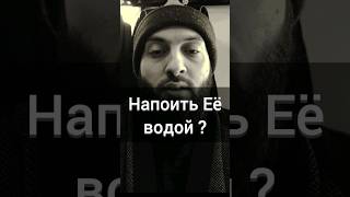 Напоить её водой ? | #ислам #пророк #хадис #муслим #islam #umma #short  #shorts #shortsvideo